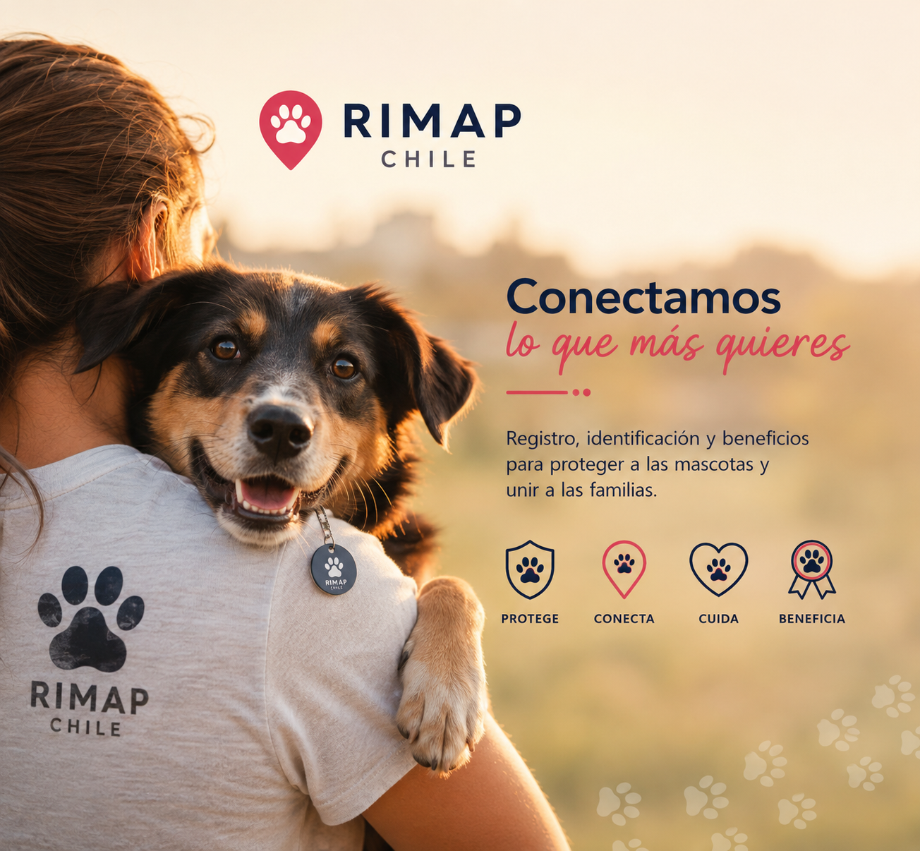 RIMAP Chile — conectamos lo que más quieres